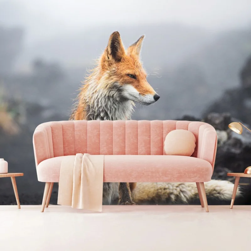 Wall mural red fox in a misty landscape