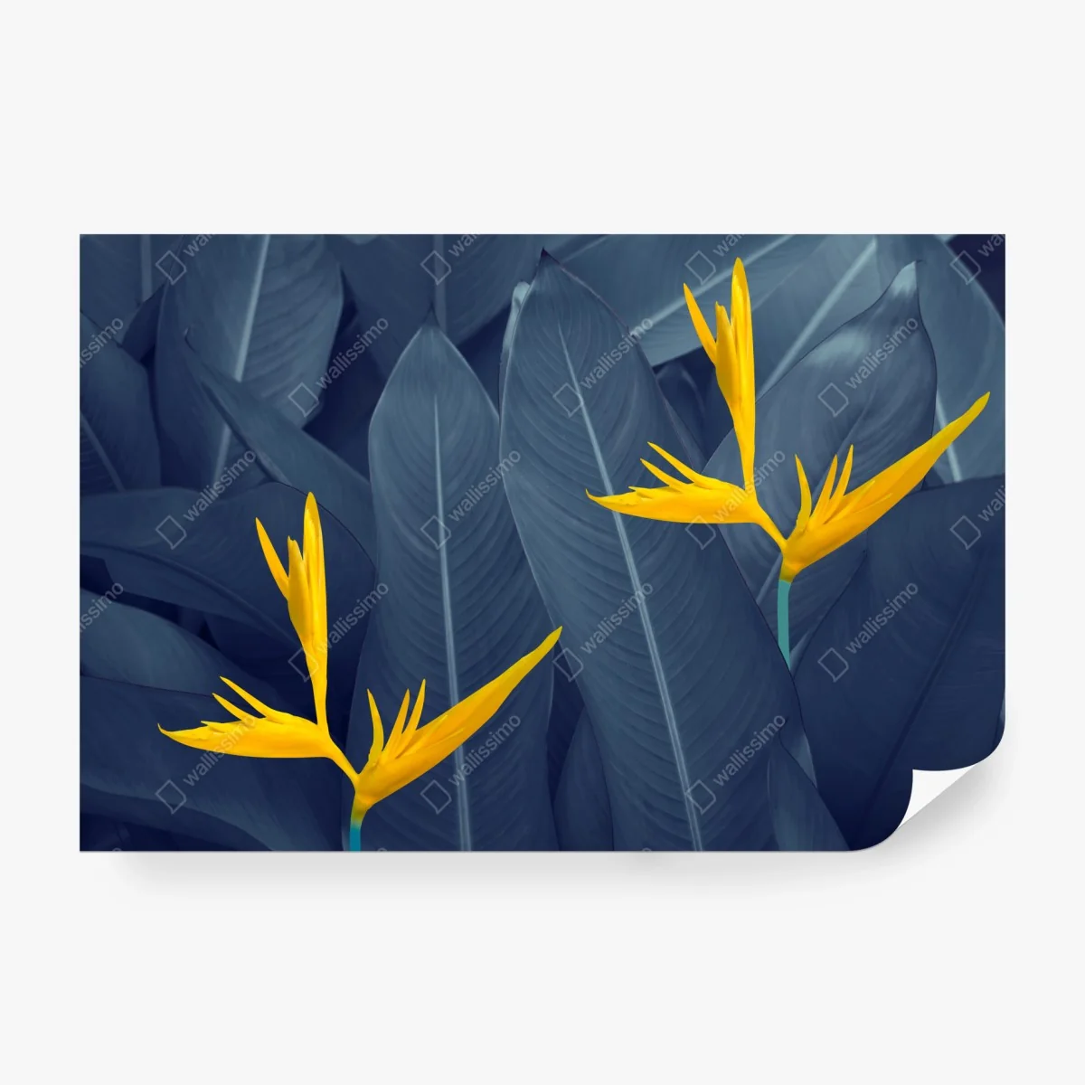 Wall mural yellow bird of paradise on blue leaves ⁕ Wallissimo®
