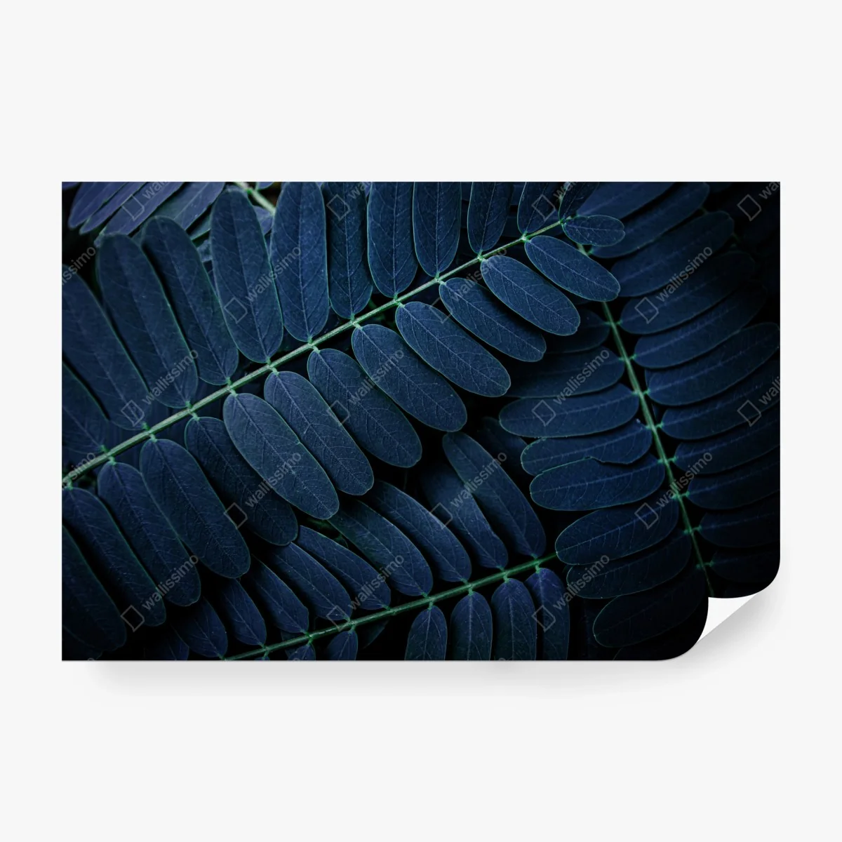 Wall mural blue leaf pattern ⁕ Wallissimo®