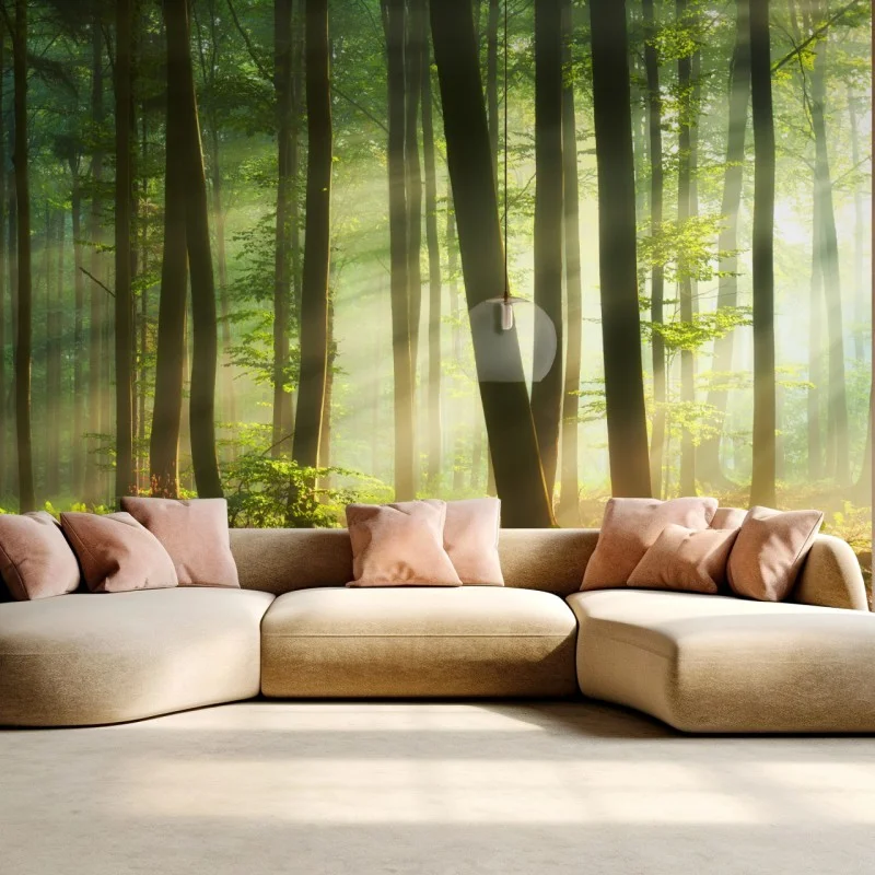 Wall mural sunlit morning in the forest
