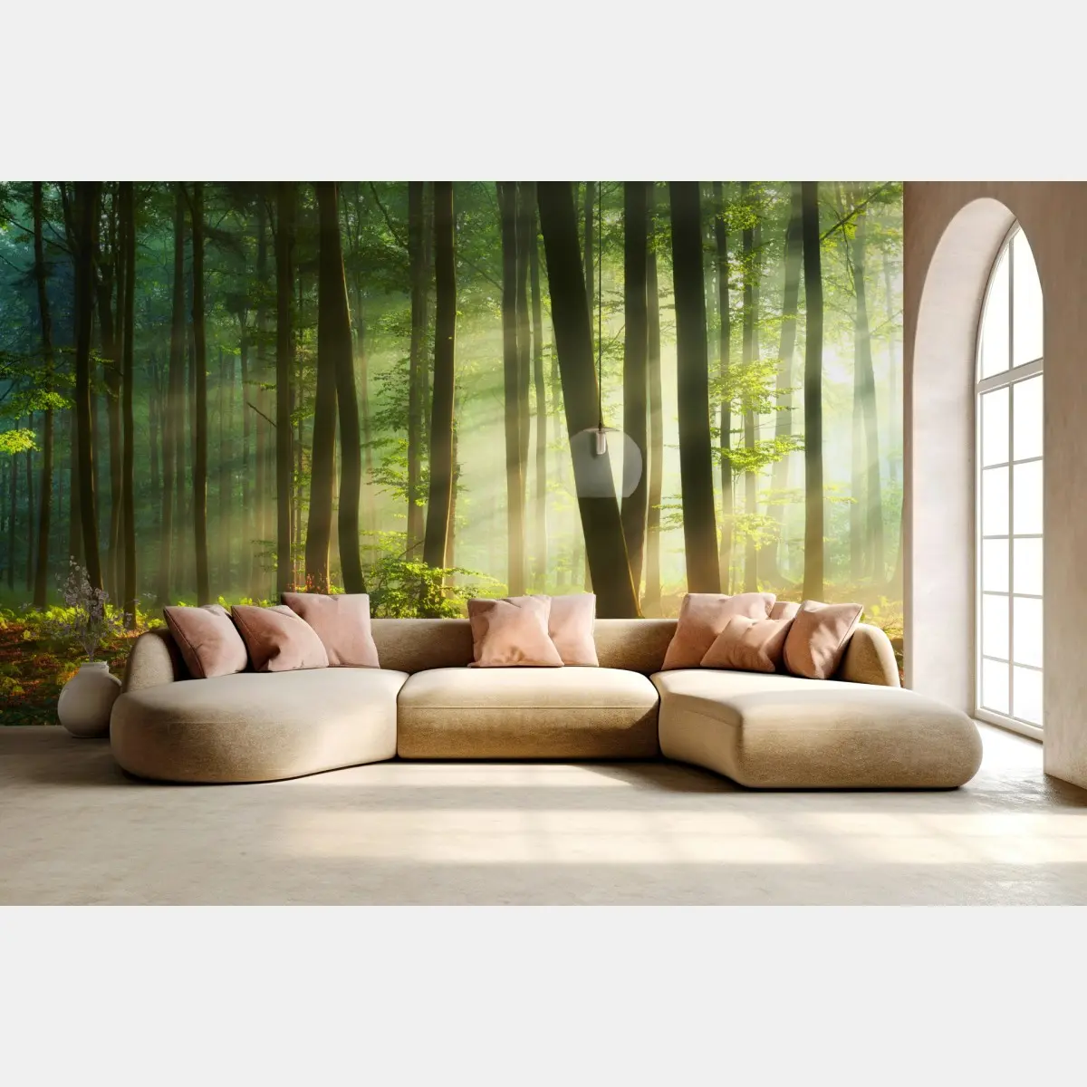Wall mural sunlit morning in the forest • Wallissimo®