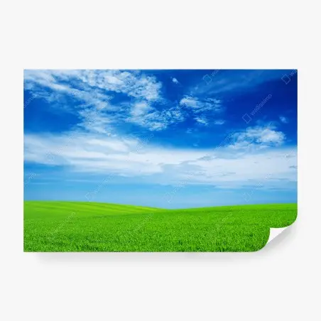 Wall mural rolling green meadow under a bright blue sky • Wallissimo®