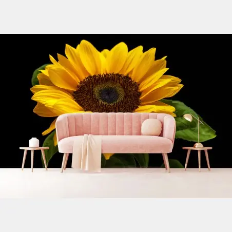 Wall mural vibrant sunflower on black background • Wallissimo®