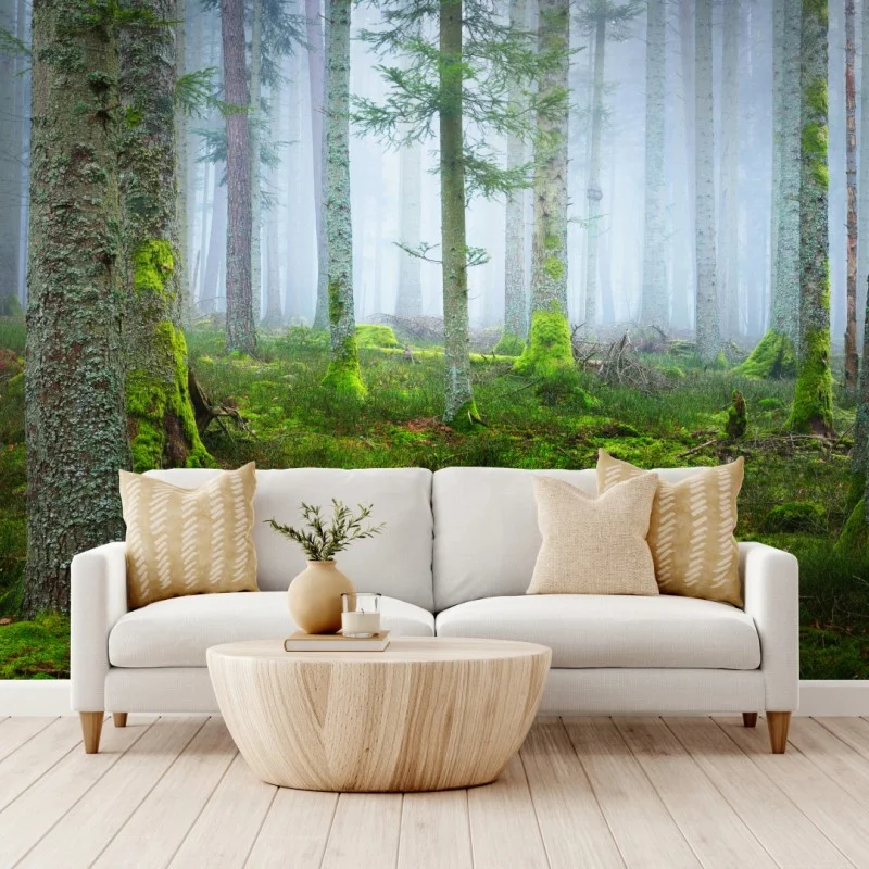 Wall mural misty Alsace pine forest