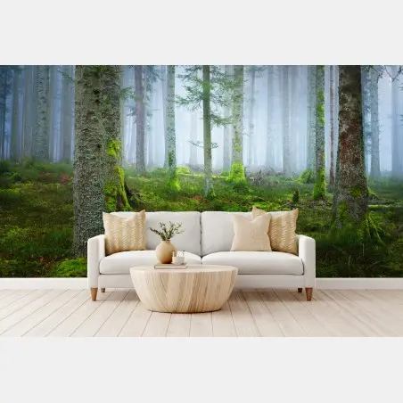 Wall mural misty Alsace pine forest • Wallissimo®