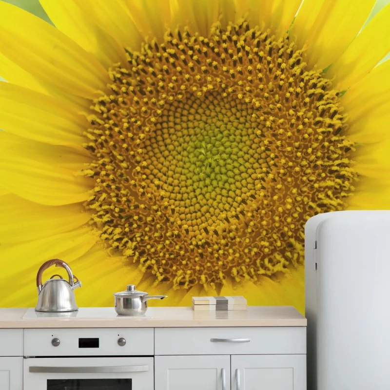 Wall mural bright sunflower close-up