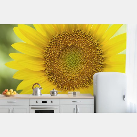 Wall mural bright sunflower close-up • Wallissimo®