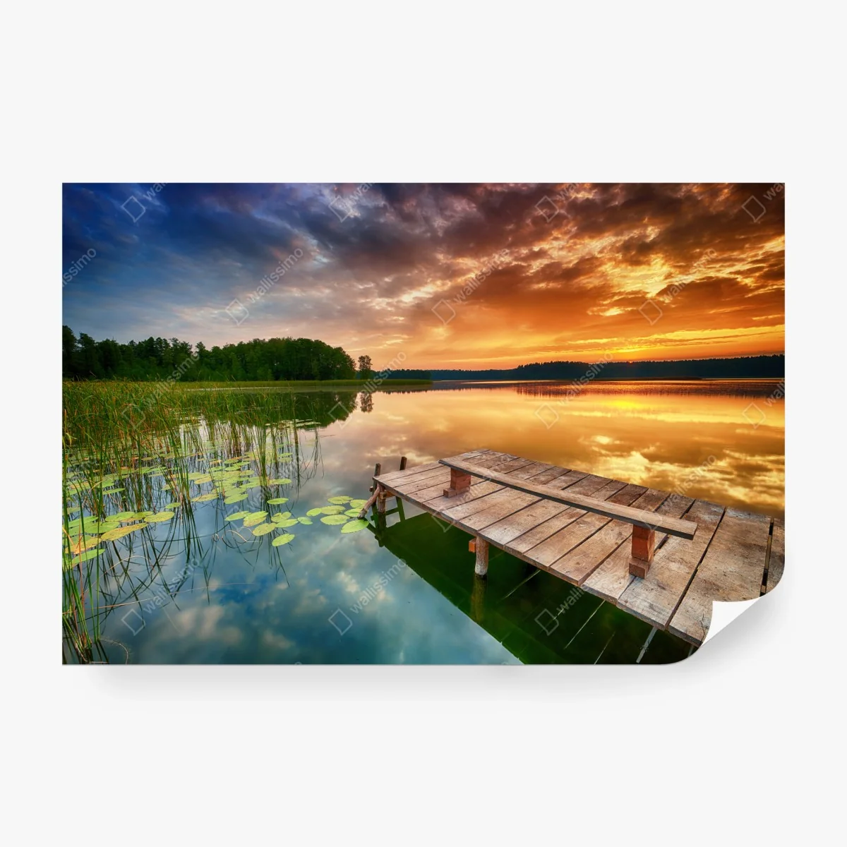 Wall mural golden sunrise over tranquil lake • Wallissimo®