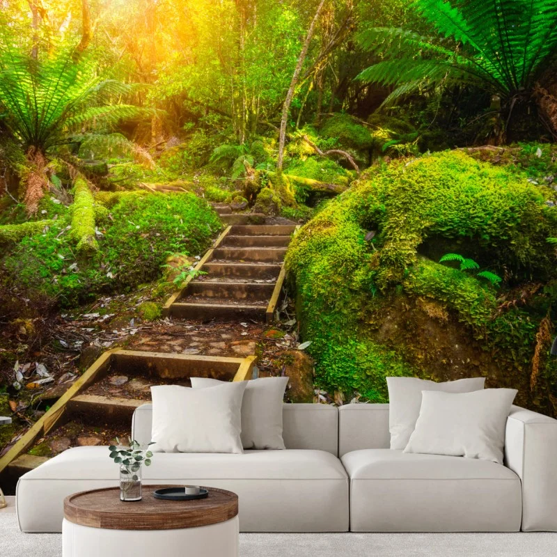 Wall mural mossy rainforest path on Tasman Peninsula
