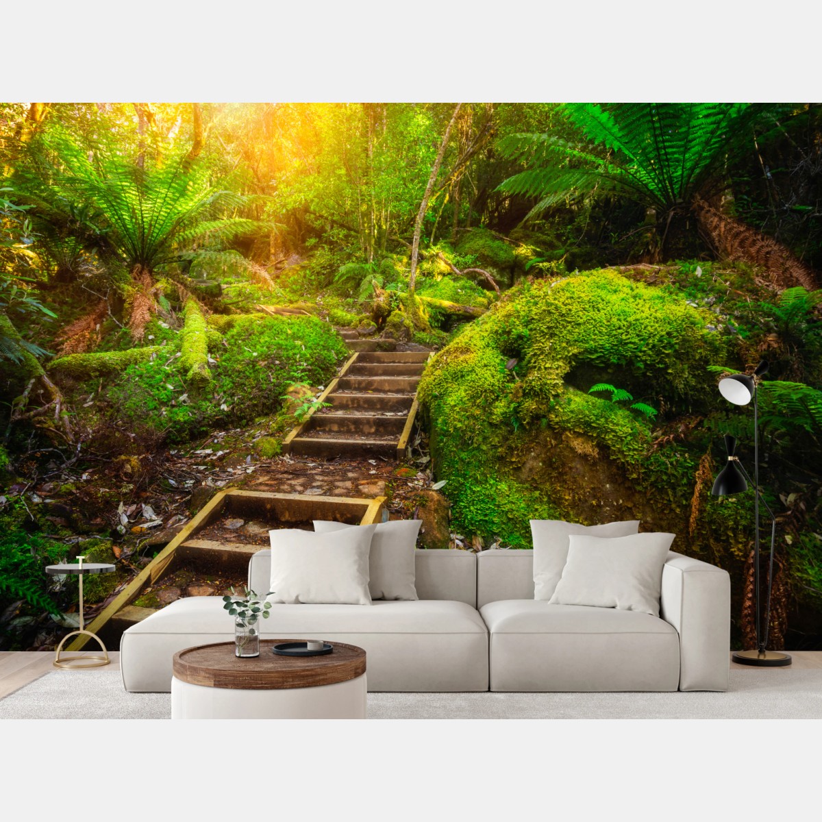 Wall mural mossy rainforest path on Tasman Peninsula • Wallissimo®