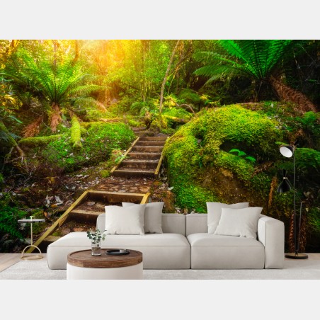 Wall mural mossy rainforest path on Tasman Peninsula • Wallissimo®