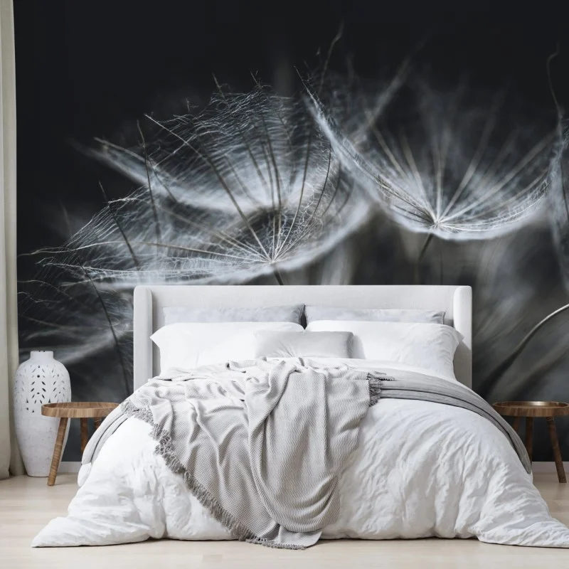 Wall mural delicate dandelion seed head in monochrome