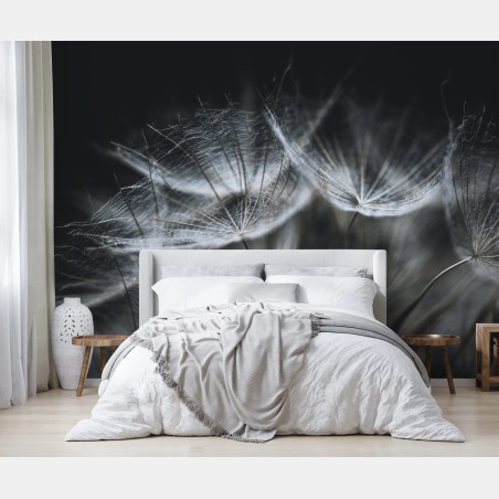 Wall mural delicate dandelion seed head in monochrome • Wallissimo®