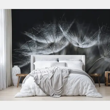 Wall mural delicate dandelion seed head in monochrome • Wallissimo®