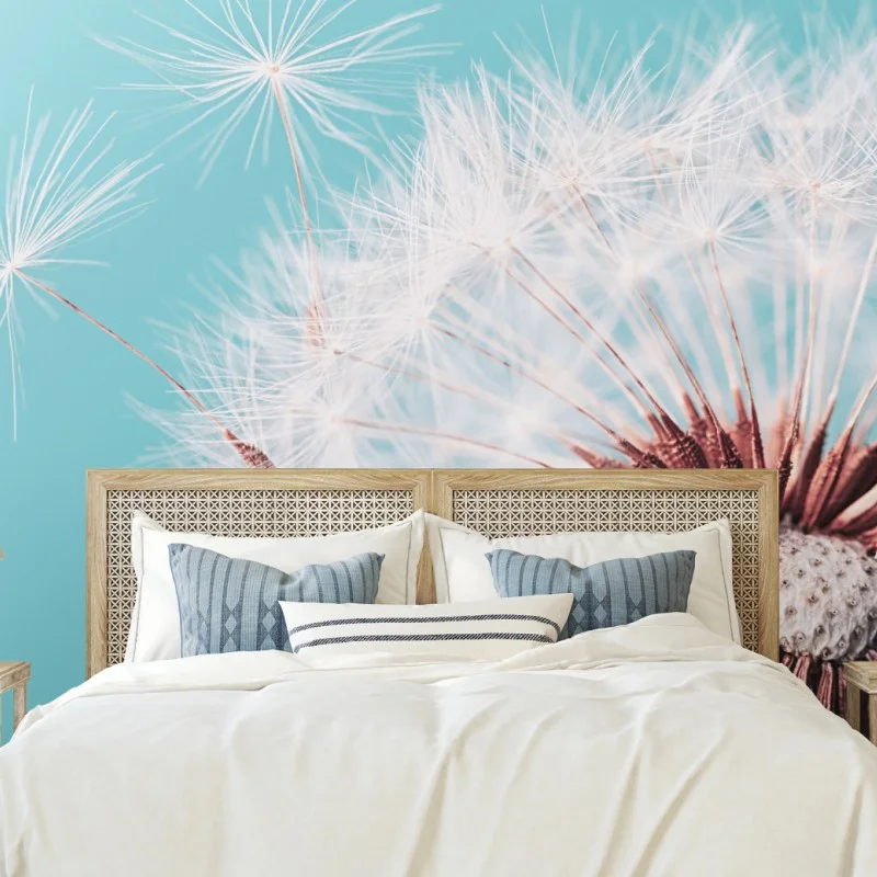 Wall mural delicate dandelion on turquoise background