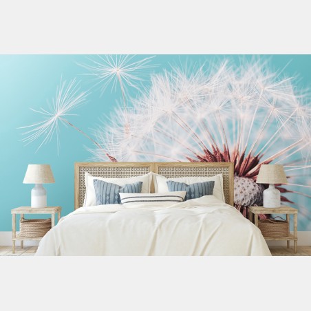 Wall mural delicate dandelion on turquoise background • Wallissimo®