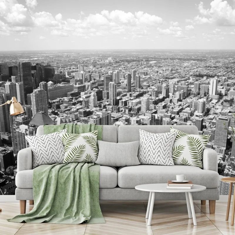 Wall mural Chicago skyline in grayscale