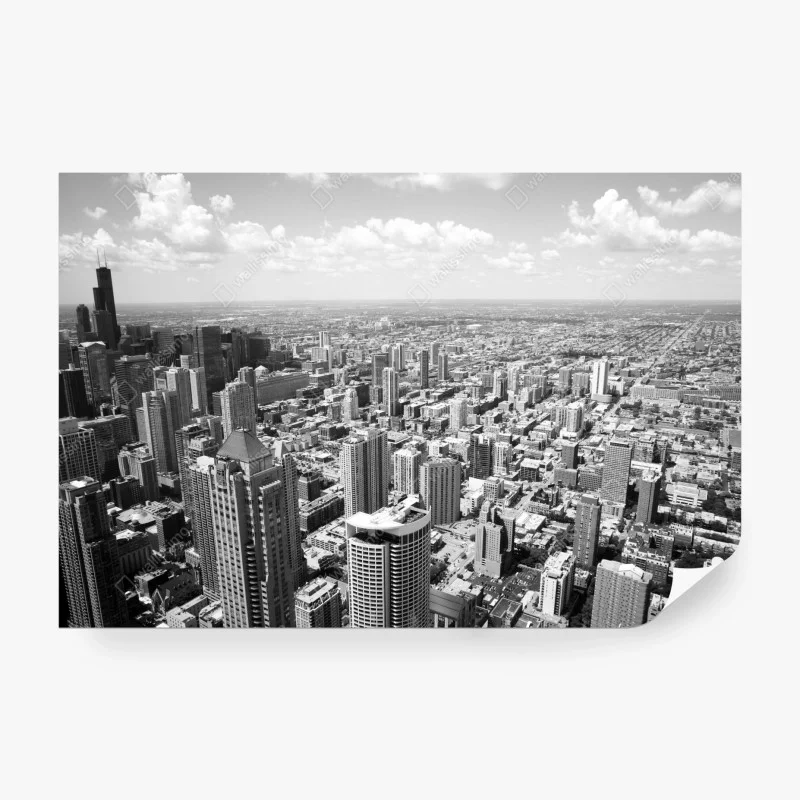 Wall mural Chicago skyline in grayscale