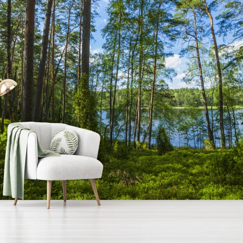 Wall mural tranquil pine forest by the lake