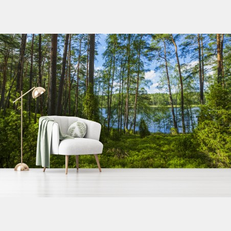 Wall mural tranquil pine forest by the lake • Wallissimo®