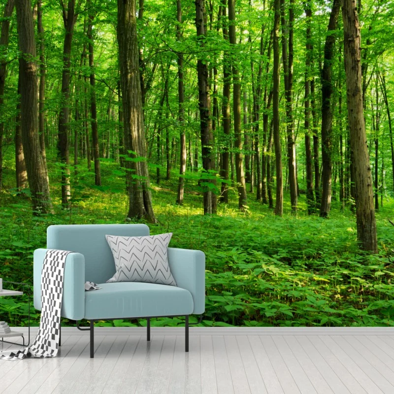 Wall mural sunlit green forest in spring