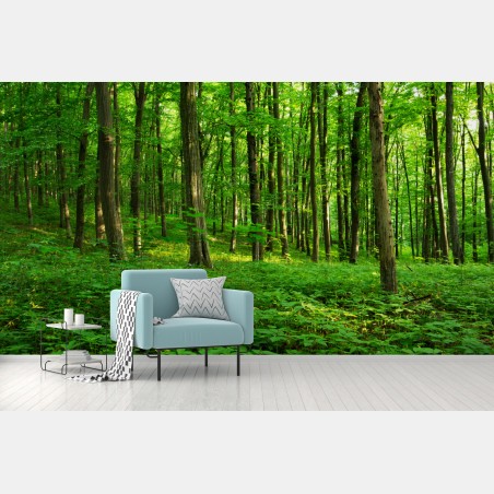 Wall mural sunlit green forest in spring • Wallissimo®