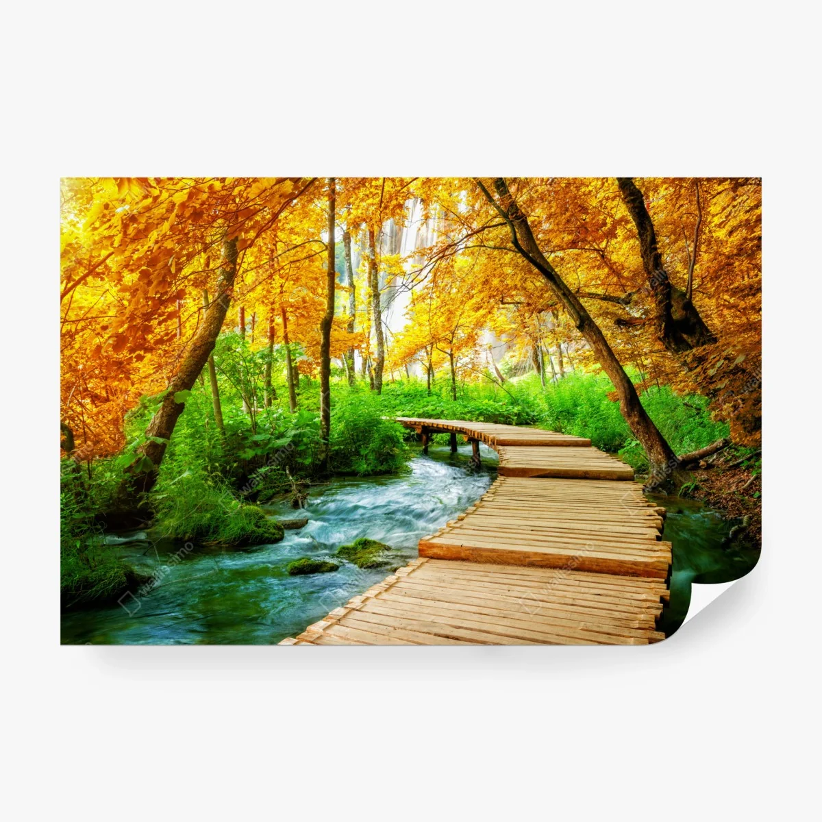 Wall mural golden boardwalk through forest at Plitvice Lakes ⁕ Wallissimo®