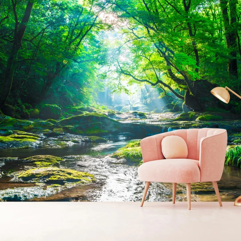 Wall mural sunlit forest stream with mossy rocks ⁕ Wallissimo®