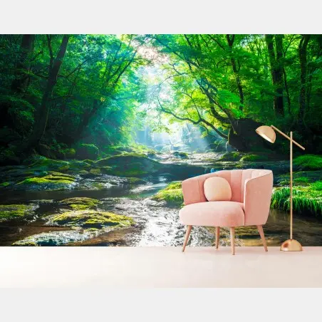 Wall mural sunlit forest stream with mossy rocks • Wallissimo®