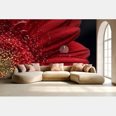 Wall mural red gerbera daisy close-up with dewdrops • Wallissimo®