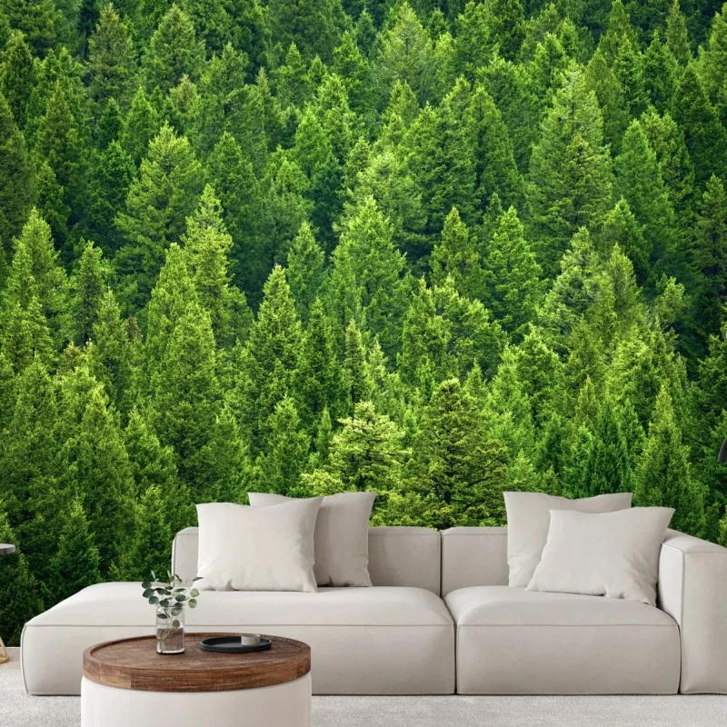 Wall mural lush pine forest canopy