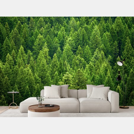 Wall mural lush pine forest canopy • Wallissimo®
