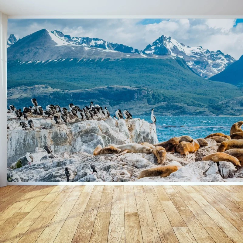 Wall mural sea lions and seabirds by the alpine coast