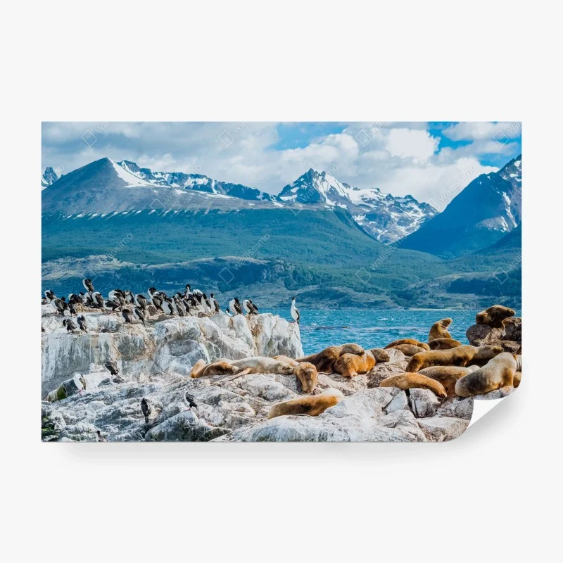 Wall mural sea lions and seabirds by the alpine coast