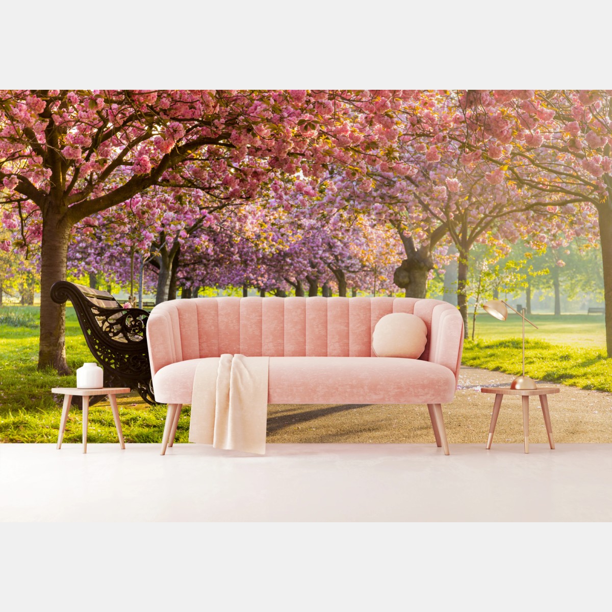 Wall mural cherry blossom avenue in spring • Wallissimo®