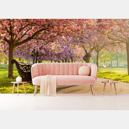 Wall mural cherry blossom avenue in spring • Wallissimo®