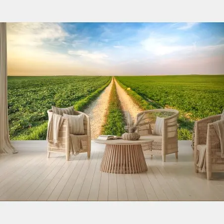 Wall mural country road through green fields • Wallissimo®