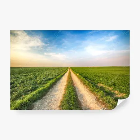 Wall mural country road through green fields • Wallissimo®