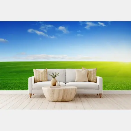 Wall mural sunlit green meadow at sunrise • Wallissimo®