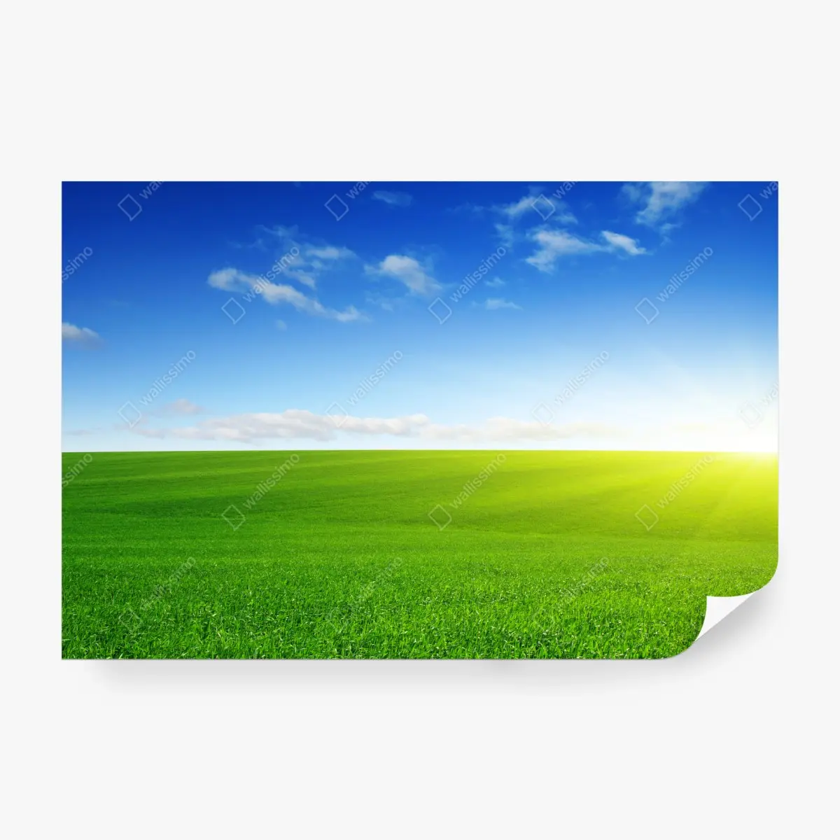 Wall mural sunlit green meadow at sunrise ⁕ Wallissimo® Wall mural sunlit green meadow at sunrise ⁕ Wallissimo®