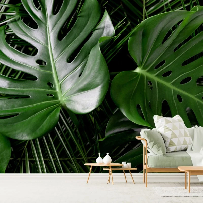 Wall mural lush monstera leaves composition