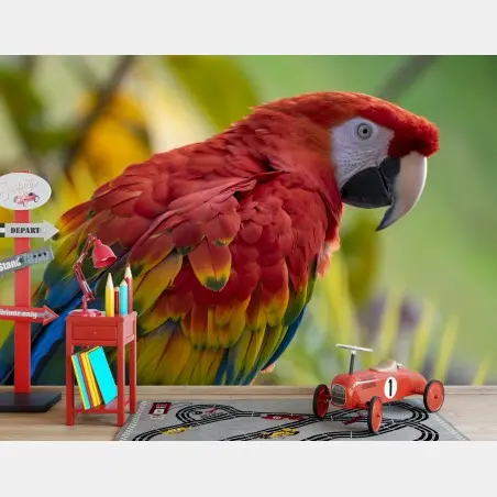 Wall mural vibrant scarlet macaw portrait • Wallissimo®