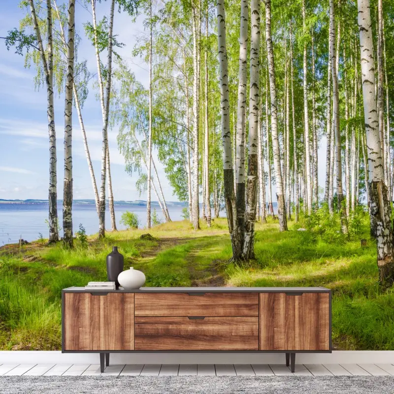 Wall mural sunlit birch grove by the water