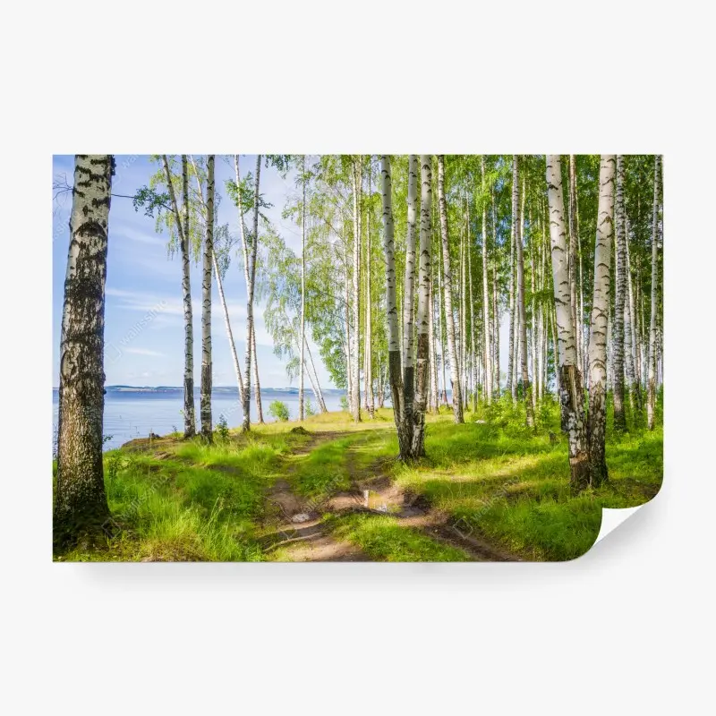 Wall mural • Wallissimo®