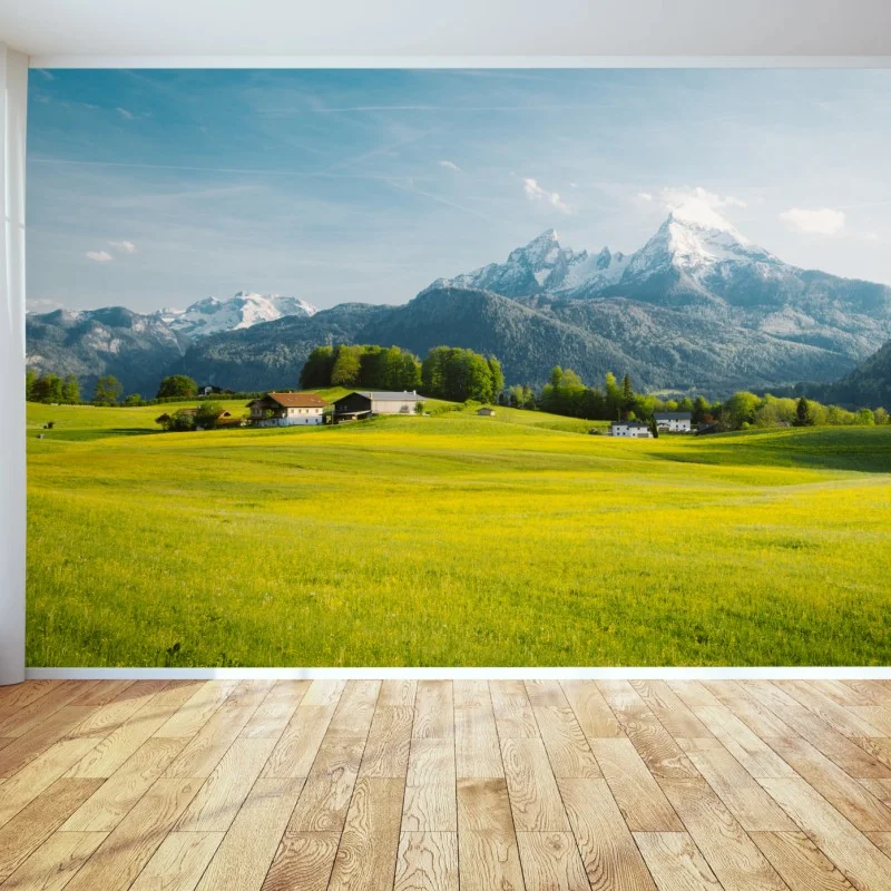 Wall mural alpine meadow beneath snowcapped peaks
