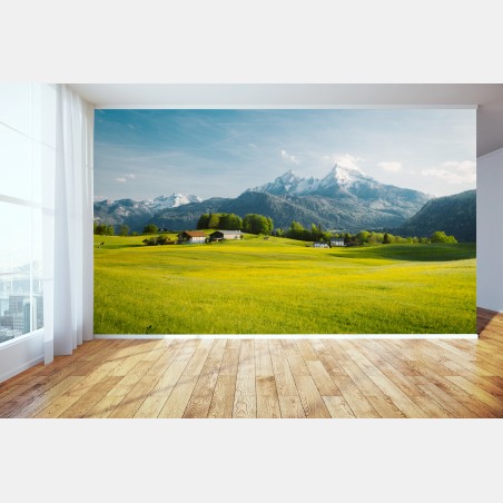 Wall mural alpine meadow beneath snowcapped peaks • Wallissimo®