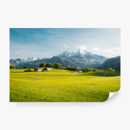 Wall mural alpine meadow beneath snowcapped peaks • Wallissimo®
