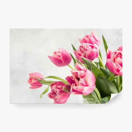 Wall mural elegant pink tulip bouquet • Wallissimo®