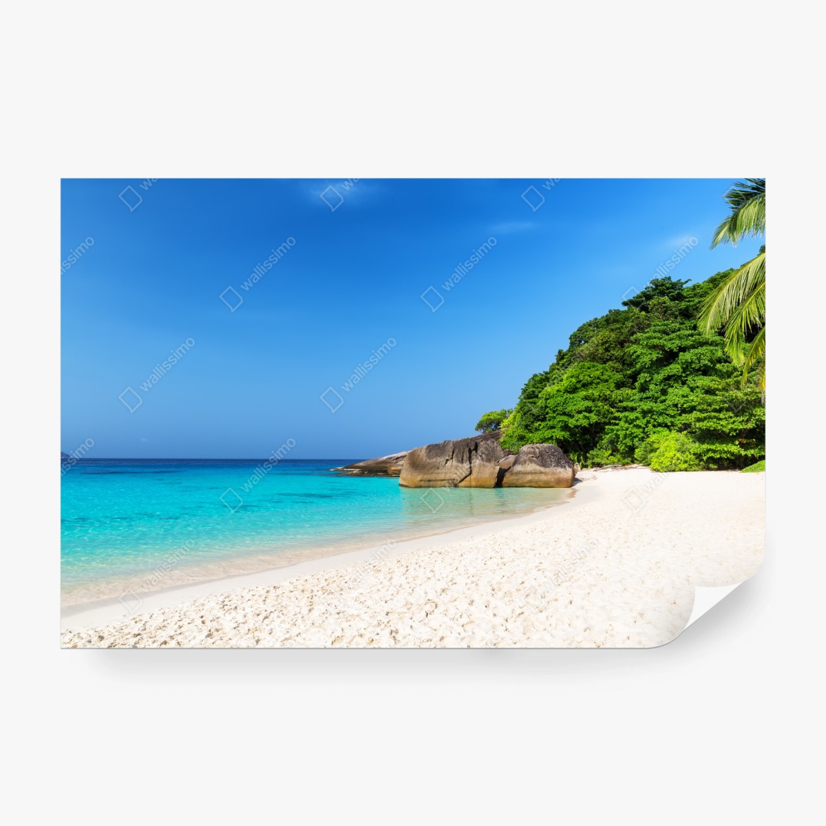 Wall mural Similan Islands turquoise beach escape • Wallissimo®