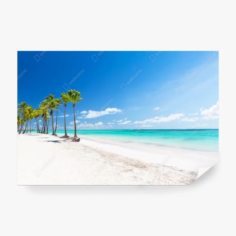 Wall mural palm trees on Punta Cana beach